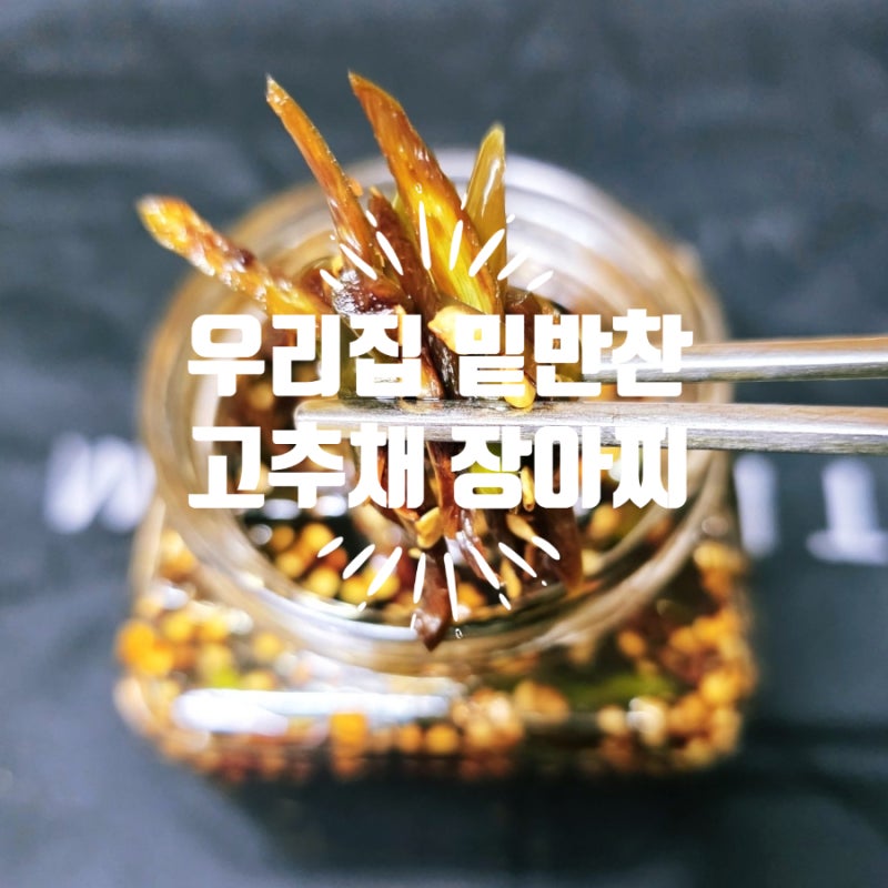 청양고추채 장아찌 우리집 밑반찬 추천 청양고추채 간장 장아찌 우리 농가 살리기 프로젝트