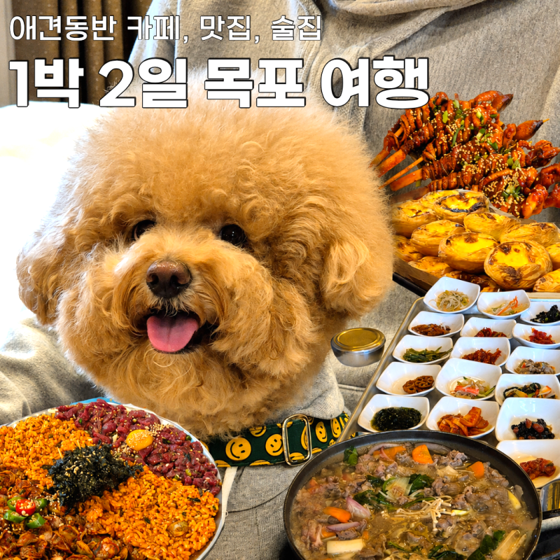 강아지와 함께 떠나는 애견동반 1박2일 목포여행 코스 | 숙소부터 핫플까지 완벽 정리