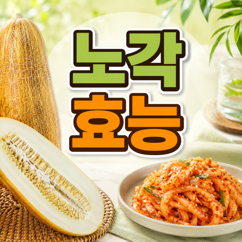 노각 효능과 부작용은? 쓴맛 제거법과 노각 오이 차이