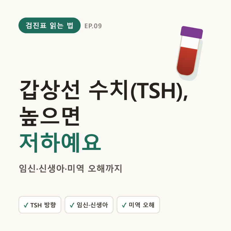 갑상선 수치(TSH) 읽는 법 — 임신·신생아·미역 오해까지 (높으면 저하)