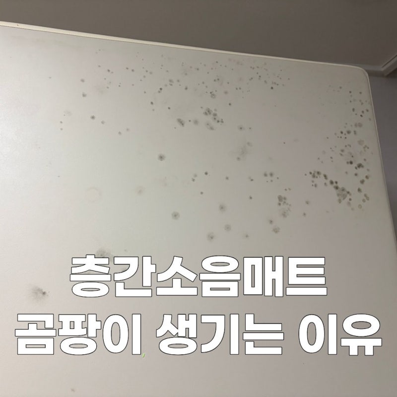 층간소음매트 곰팡이 생긴 이유 여름철 관리법 4가지
