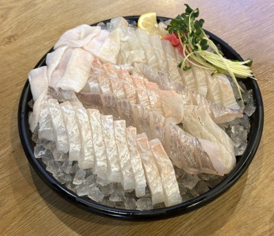 물고기선수촌 나혜석거리횟집 생새우회 광어회 우럭회 회쏘 맛집 🐟🌊🩵🫧