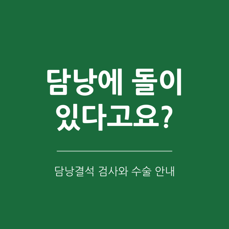 [동탄 복부 초음파] 담낭에 돌이 있다고요? 담낭결석 증상·복부초음파·CT 검사와 수술이 필....
