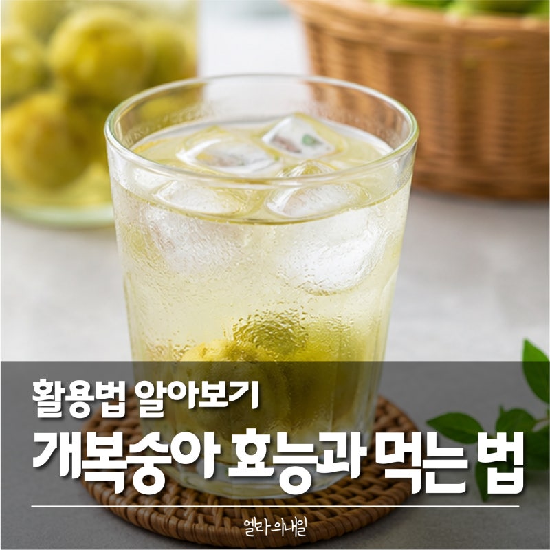 개복숭아 효능 있을까? 수확시기부터 액기스 먹는 방법까지 총정리