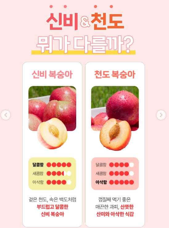 롯데마트 통큰데이 8월 전단지 행사기간 과일 계란 과자 세일기간