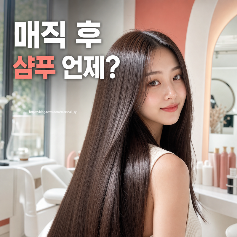 매직 후 샴푸 언제? 48시간 관리법과 머릿결 망치는 습관 5가지