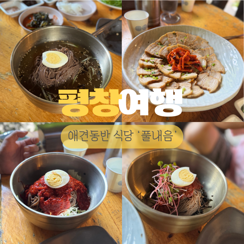 평창 애견동반 식당 '풀내음' 애견동반 여행 막국수 맛집