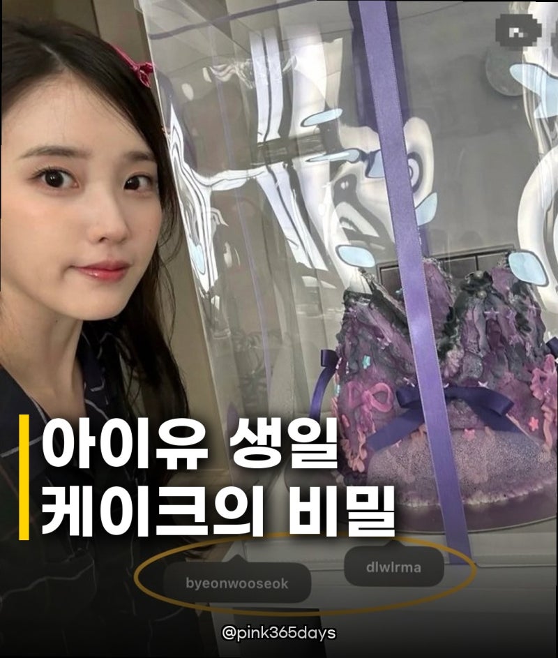 아이유 생일케이크 변우석 선물, 훈훈한 우정에 팬들 심쿵