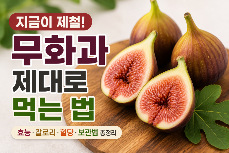 무화과 혈당 괜찮을까? 효능·칼로리·제철 정보 한눈에 확인