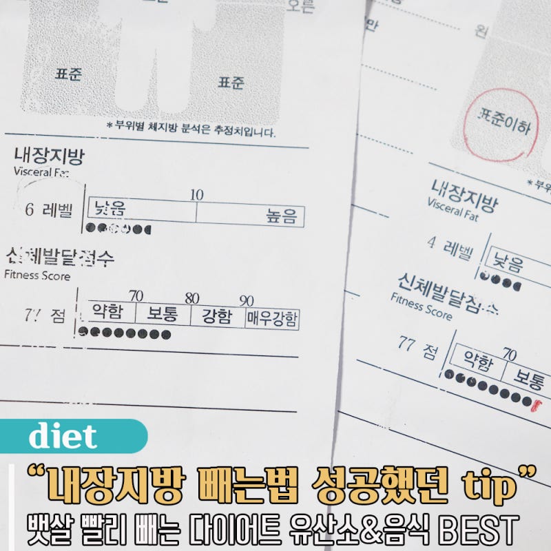 뱃살 내장지방 빼는법 다이어트 유산소 음식 추천