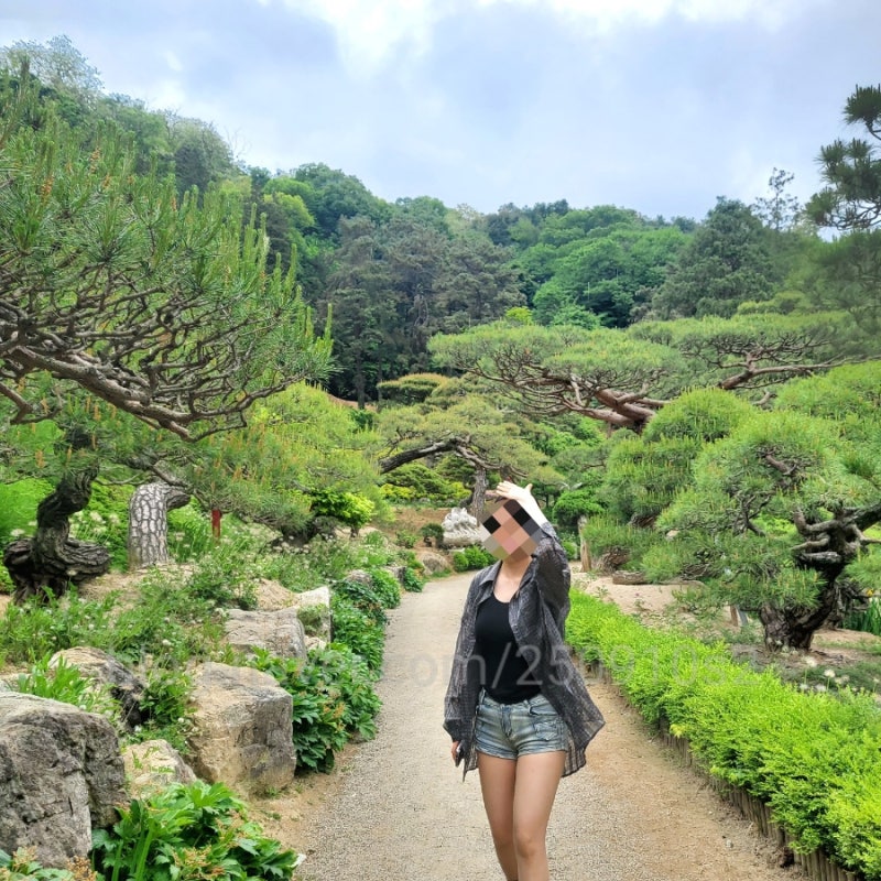 경기 군포 한옥카페, 제과제빵명장 홍종흔베이커리, 소나무정원에서 인생샷 가능한 곳!