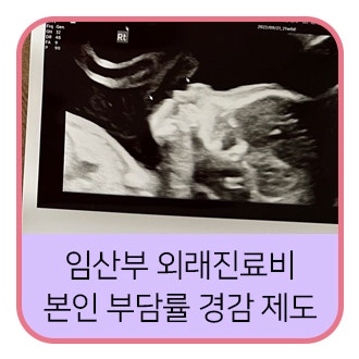 임신하면 병원비 20% 아끼는 법, 저만 몰랐던 거 아니죠?(feat. 임산부 외래진료비 본인 부담률 ....