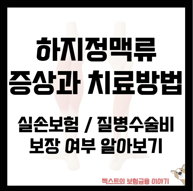 하지정맥류 증상과 치료방법, 실손보험·질병수술비 보장 여부 알아보기