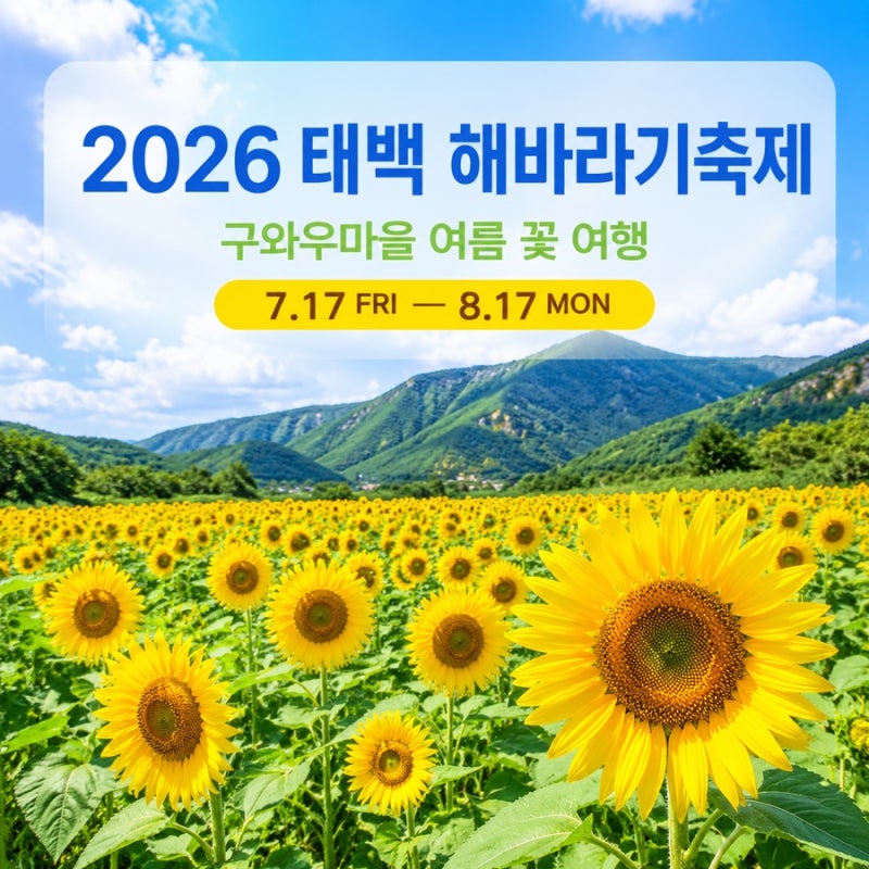 2026 태백 해바라기축제 일정 총정리｜구와우마을 입장료·볼거리