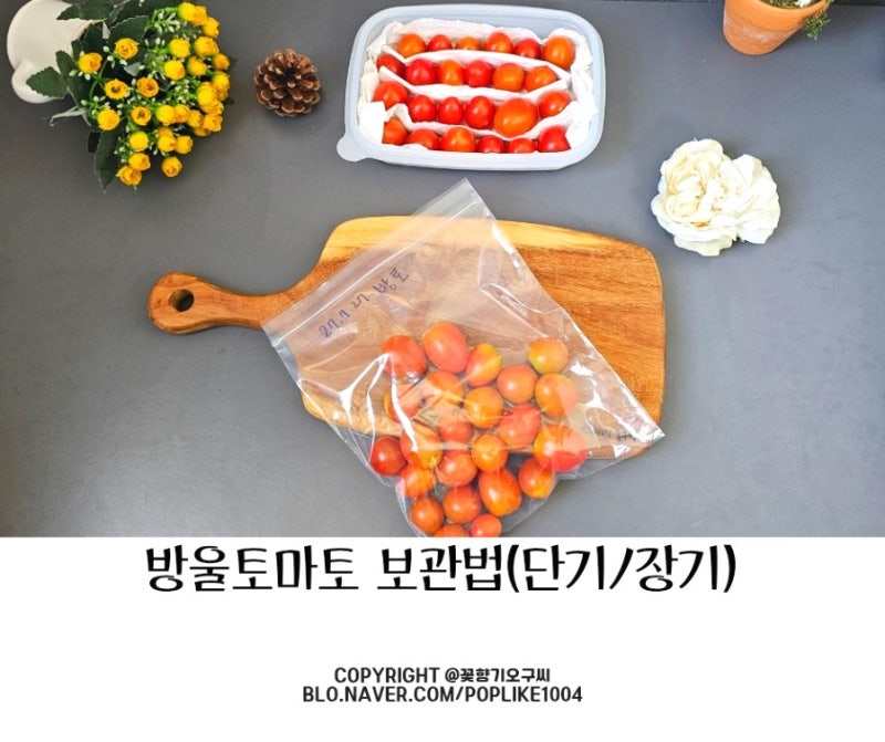 오래 보관하는 방울토마토 보관법 칼로리 후숙
