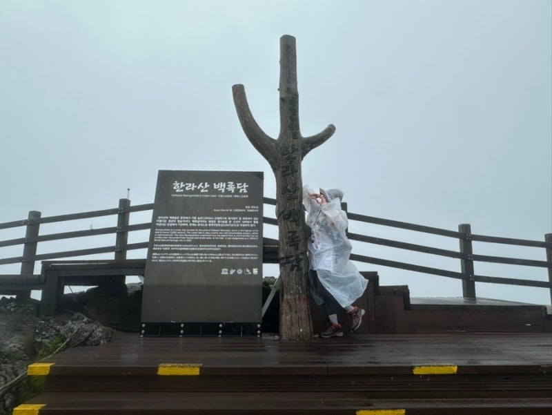 비오는날한라산등반 관음사코스 여자혼자등산 왕복8시간 한라산꿀팁 ....