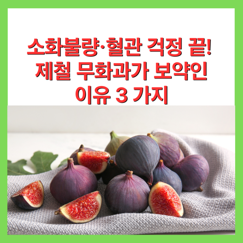 소화불량, 혈관 걱정 끝! 제철 무화과가 보약인 이유 3 가지