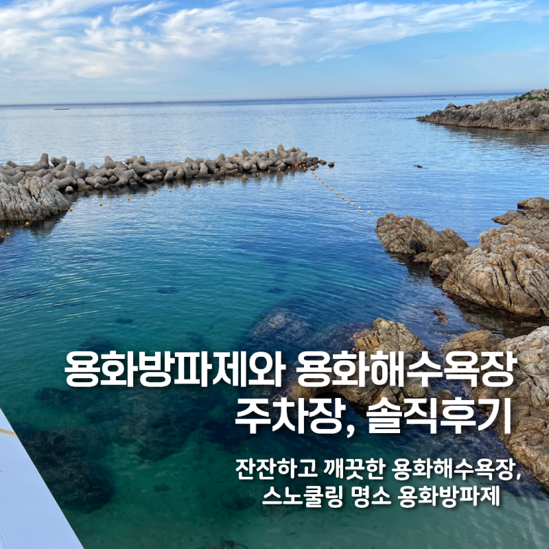 삼척 용화해수욕장 용화방파제 스노쿨링 주차장 정보