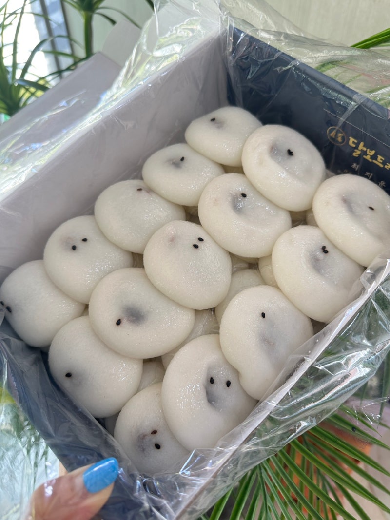 군산 기정떡 맛집 전국 택배발송 가능한 달보드레기정떡