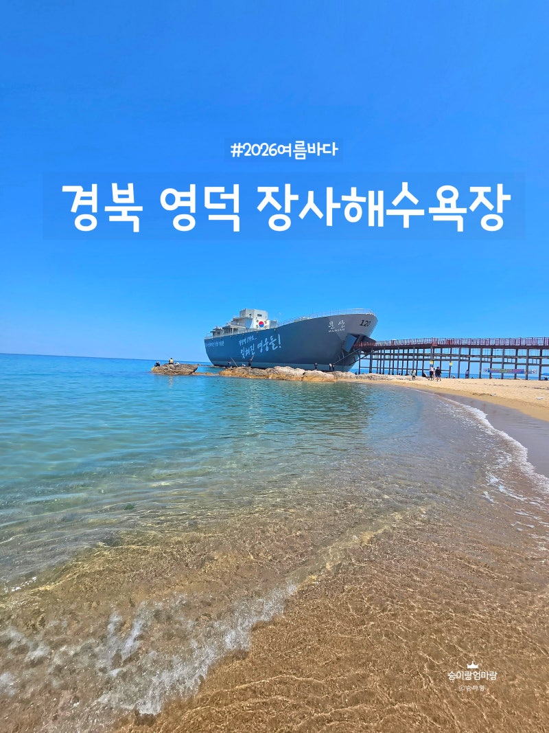 영덕 장사해수욕장 여름휴가 추천! 8월 휴가철 주차부터 물놀이까지