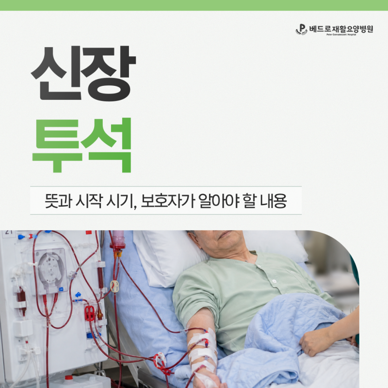 신장투석 뜻과 시작 시기, 보호자가 알아야 할 내용