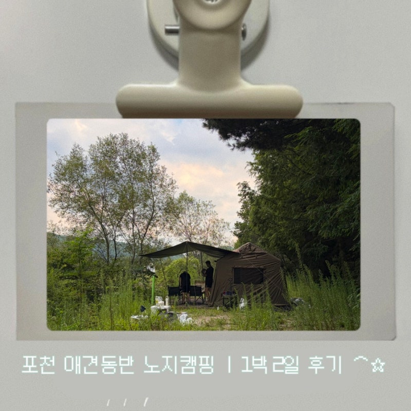 경기도 포천 애견동반 계곡 노지캠핑 차박 스팟(프라이빗한 장소) | 강아지랑 1박2일 다녀온 ....