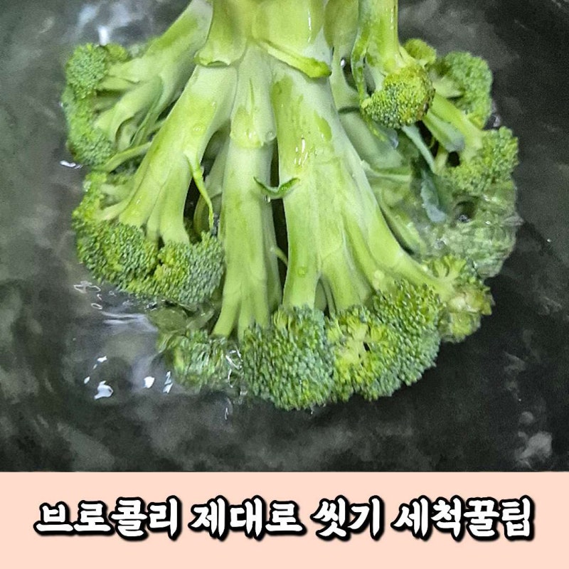 브로콜리 씻는법! 4가지 세척방법 직접 해봤어요