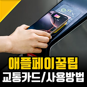 애플페이 카드사 종류 사용법 및 아이폰 교통카드 티머니 완벽 총정리