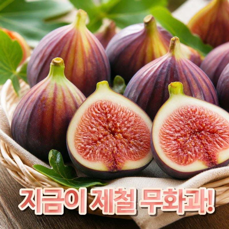 무화과 제철 언제일까? 달콤하게 맛있게 먹는 방법 총정리
