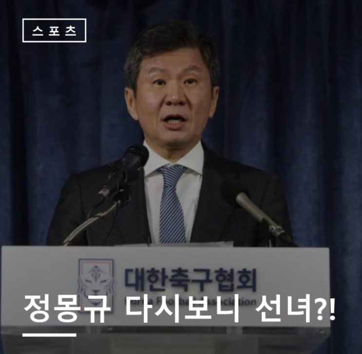 "축협이 아니라 비리 백화점" 댓글창이 폭발한 진짜 이유… 성접대....