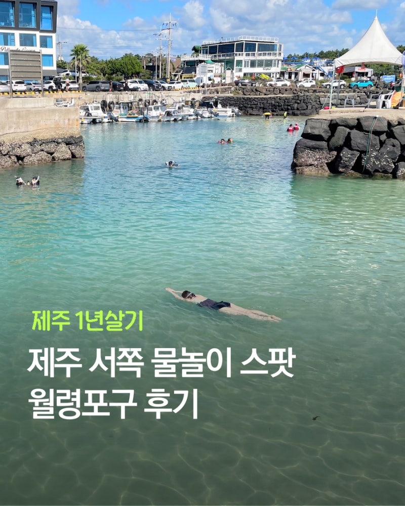 제주 서쪽 물놀이 스팟 월령포구 후기 및 준비물 (추천⭐️)