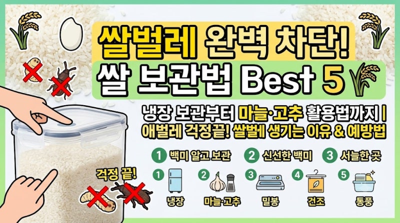 [정보/필수] 여름철 쌀벌레 안 생기는 쌀 보관법 5가지! (냉장 보관 & 페트병 보관의 진실 )