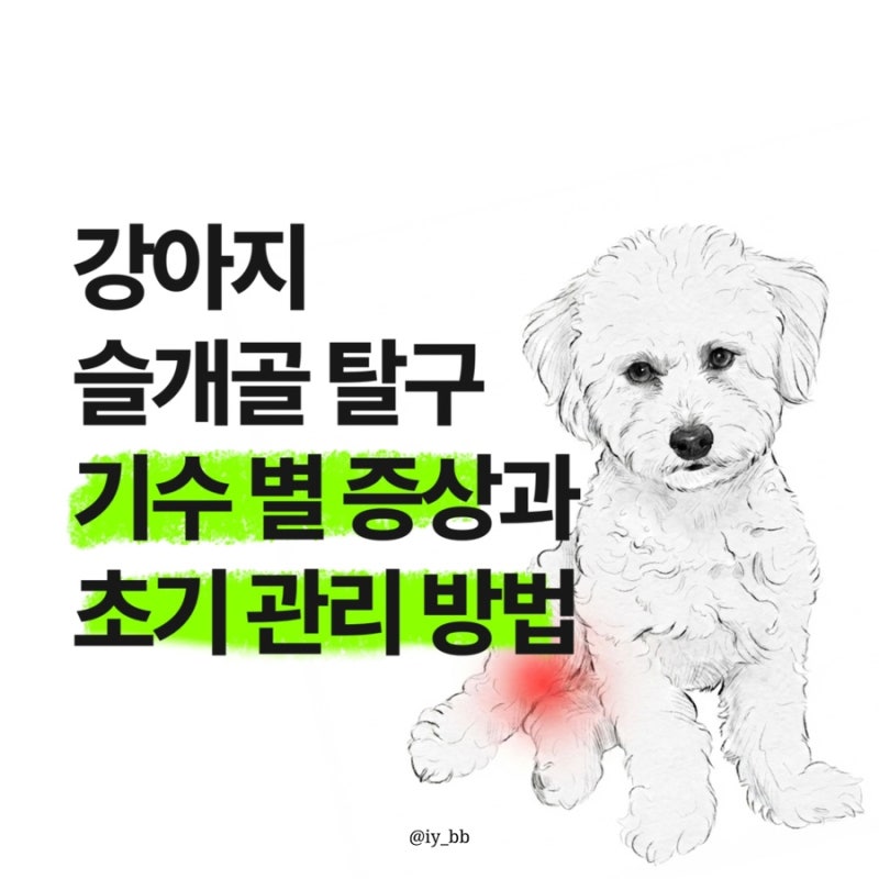 강아지 슬개골 탈구 증상 총정리, 초기 증상부터 단계(1~4기), 수술 시기까지