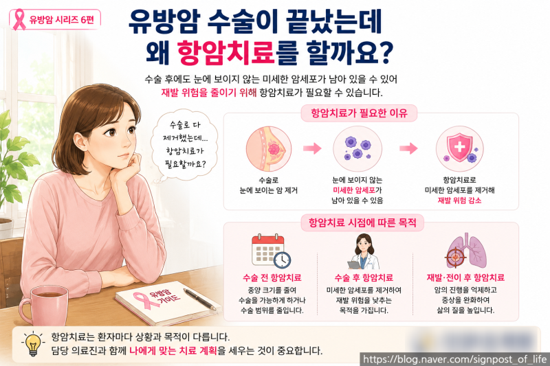 유방암 시리즈 6편 유방암 항암치료, 어떤 약을 얼마나 맞을까? 항암제 종류·횟수·약값까지