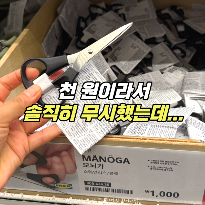 이케아 천원 대라 무시하던 남편이 "이건 잘 샀다"며 칭찬한 3가지