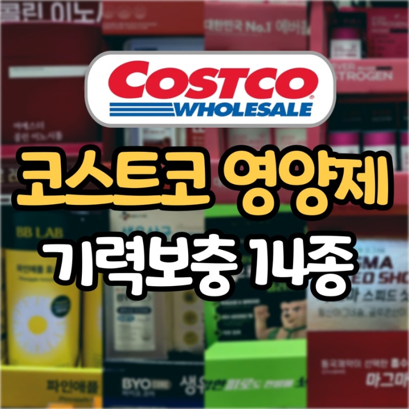 코스트코 8월 둘째주 영양제 14종 할인, 이번주 지나면 또 2달 기다려요.