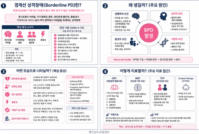 경계선 성격장애(Borderline Personality Disorder, BPD