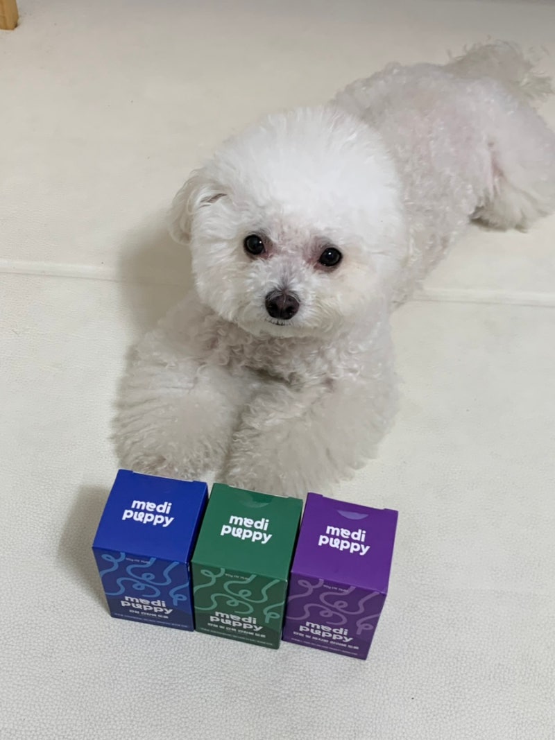 강아지 관절영양제 추천 슬개골탈구 관리 메디퍼피