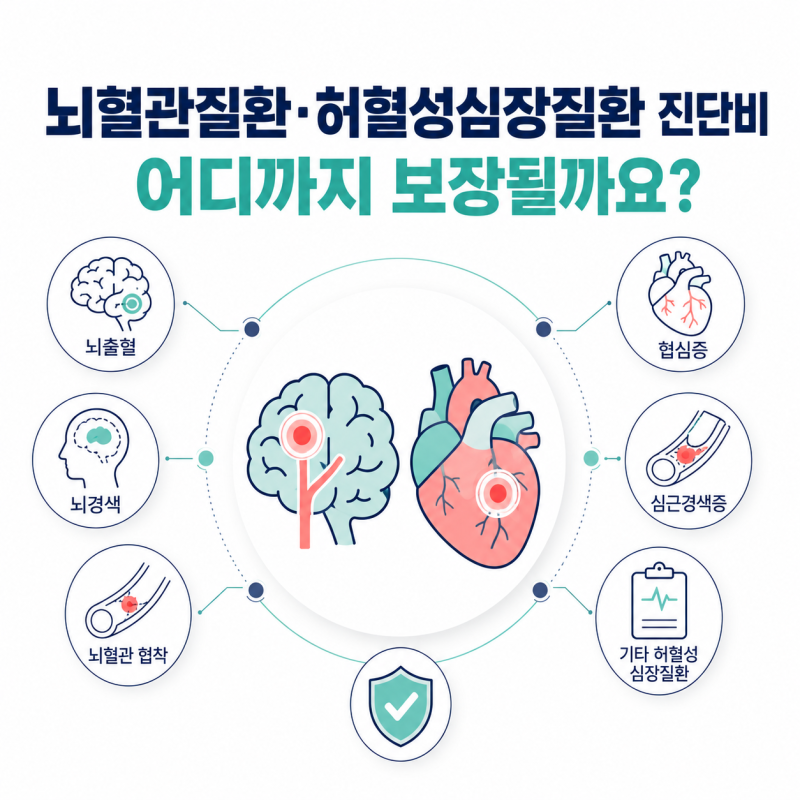 뇌혈관질환 진단비 보장범위, 뇌출혈·뇌졸중·뇌경색 차이