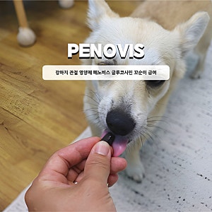 강아지 관절 영양제 페노비스 글루코사민 꼬순이 급여