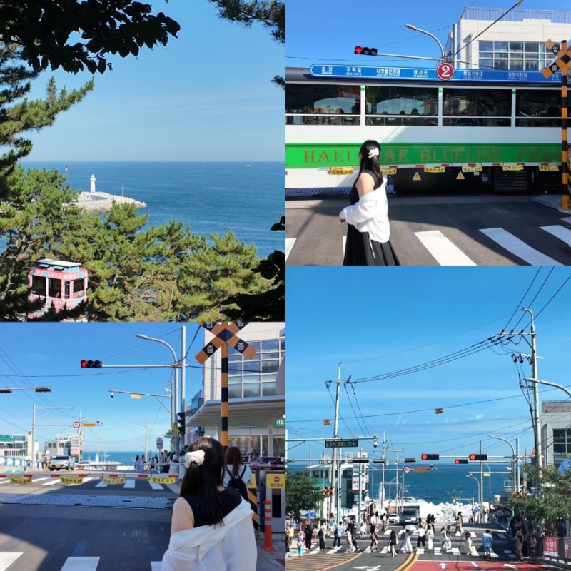 부산 가볼만한 곳 해운대 블루라인파크 해변열차 청사포 슬램덩크 포토존