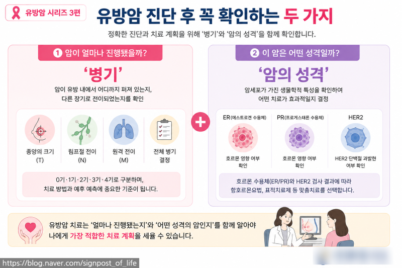 유방암 시리즈 3편 유방암 0기·1기·2기·3기·4기, 그리고 HER2·호르몬수용체·삼중음성은 무슨....