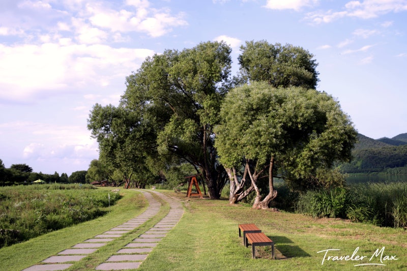 Best 3 Day Trip Destinations Near Seoul for a Date