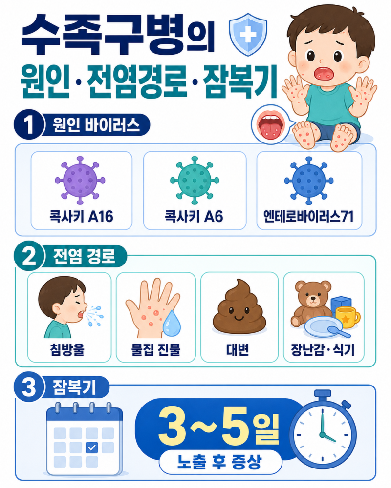수족구병 증상, 원인, 전염 기간, 잠복기, 치료 방법 등 총정리