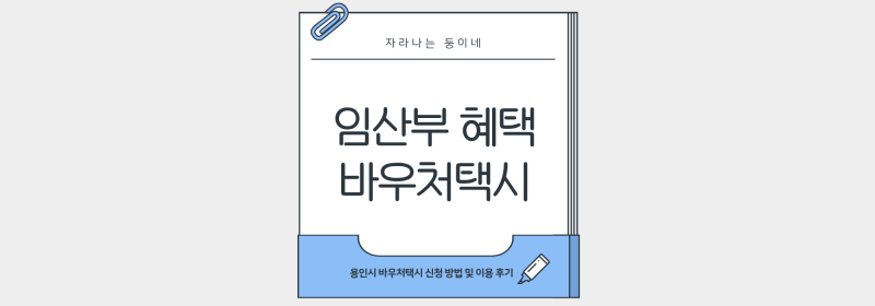 [임신정보] 임산부 이동 지원 혜택:) 용인시 바우처 택시 신청 방법 & 이용 꿀팁 총정리