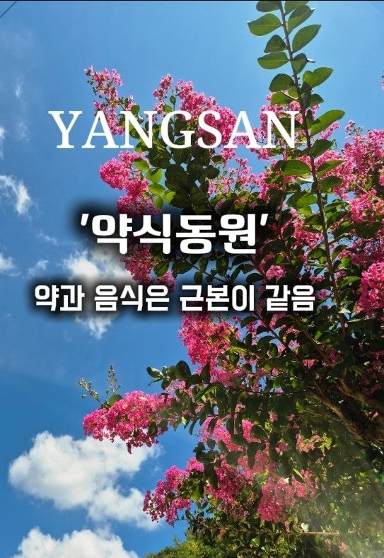 [양산 맛집] 몸과 마음이 건강해지는 자연식 한상, '약식동원 다루야'
