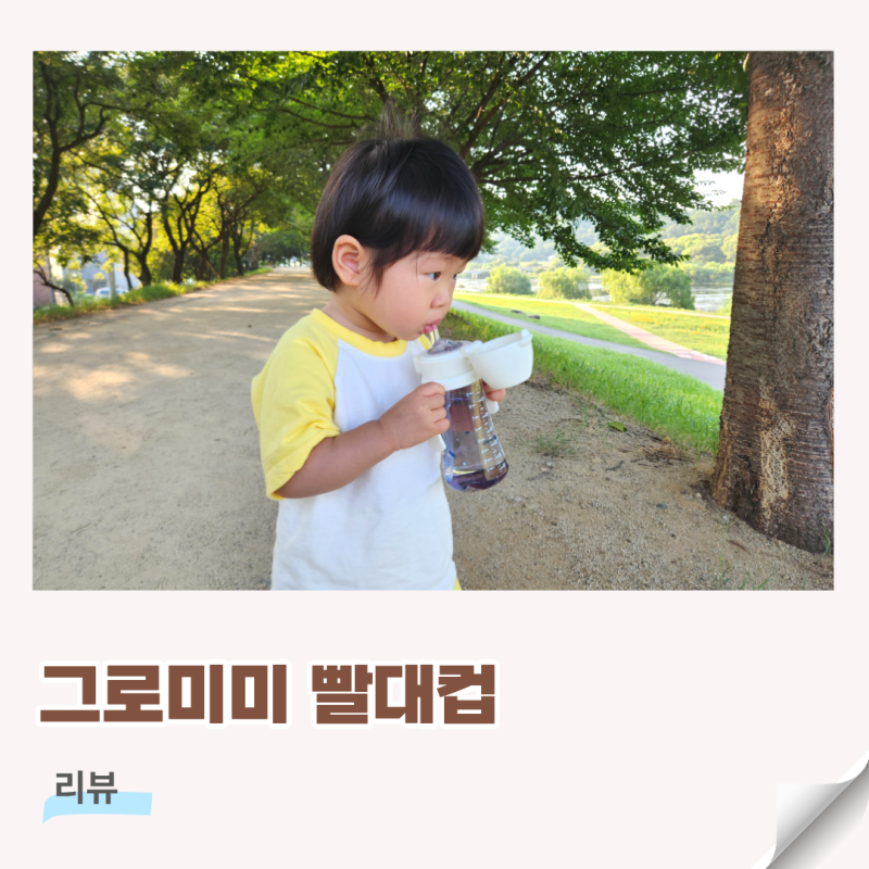 어린이집 빨대컵 추천 그로미미 PPSU 아기 빨대컵 소독 방법