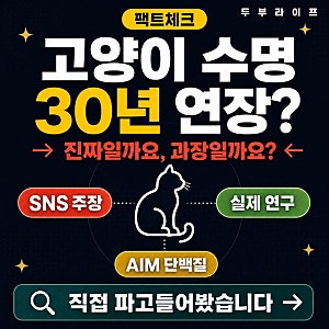 고양이 신장병 치료제 AIM, 수명 30년 연장 진짜일까? 팩트체크해봤습니다
