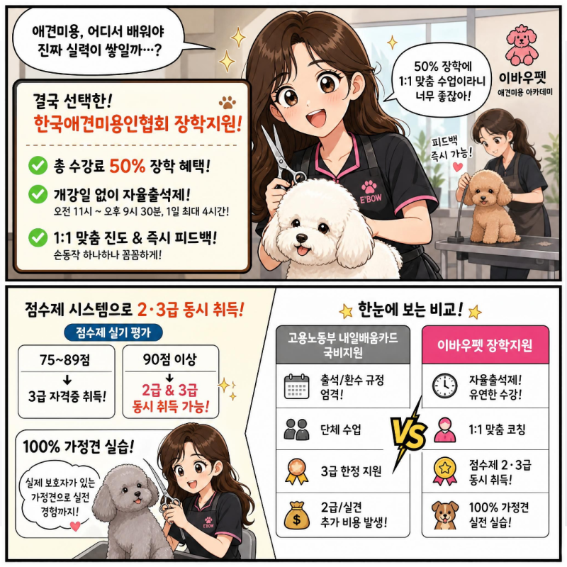대전애견미용 국비지원 현실 후기(+내일배움카드, 국비지원, 장학지원,기간, 비용)