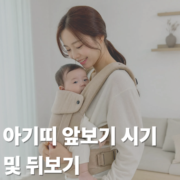 아기띠 앞보기 시기 및 뒤보기, 시기별 매는법 총정리 언제부터 가능할까?